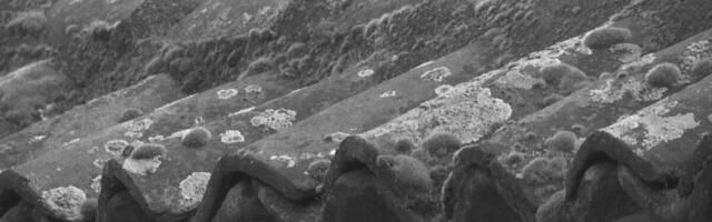 "ŽUDNJA I ĐURĐEVDANSKE MANTAFE" Nagrada za film Slađana Stojanovića na Međunarodnom festivalu dokumentarnog filma