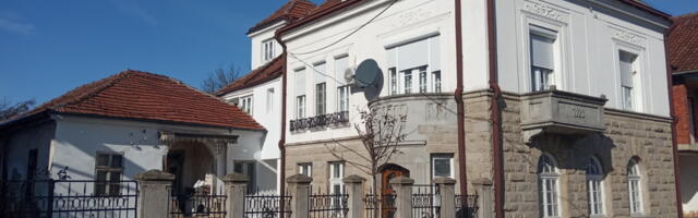 Graciozna lepotica s vekovnim nameštajem ulepšava deo Vlasotinca