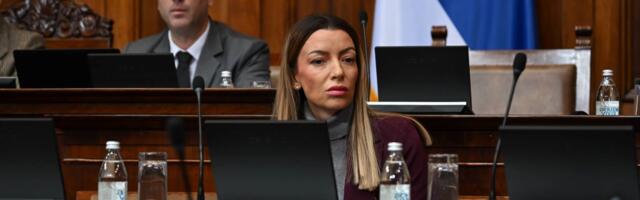 Ministarka Mesarović: Na hrvatskoj granici doživela sam strašan tretman