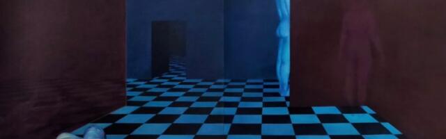 Izložba "Introspekcija" Anje Preradović od srede u Galeriji SULUV-a