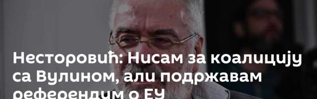 Несторовић: Нисам за коалицију са Вулином, али подржавам референдум о ЕУ