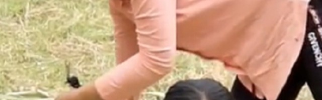 Da li biste se ikada usudili da probate njihov azijski specijalitet? (VIDEO)