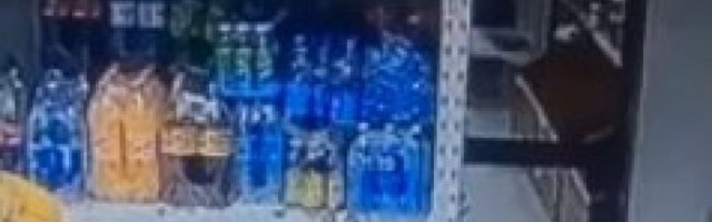 PRODAVNICA DUHOVA! Nećete verovati svojim očima!