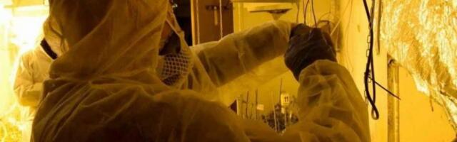 OTKRIVENA LABORATORIJA DROGE NA MRAMORSKOM BRDU! Uhapšeno 7 osoba, pronađeno 10,5 kilograma marihuane (VIDEO)