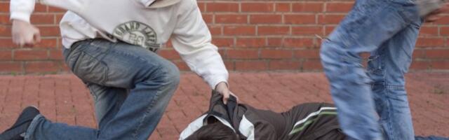 UČENIK BRUTALNO PREBIJEN U BORČI: Tri dečaka i devojčica tuku žrtvu dok leži na podu (UZNEMIRUJUĆI VIDEO)