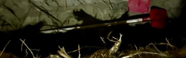 Iskopali grob kod Požarevca, uleteo SAJ: Policija sprečila teško ubistvo