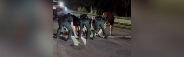 Алигатор дуг више од четири метра зауставио саобраћај