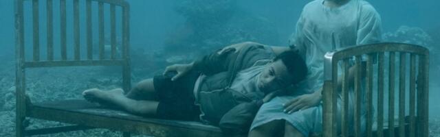 Izložba Nika Branta „Možda će svanuti dan“ u briselskom centru za fotografiju “Hangar”