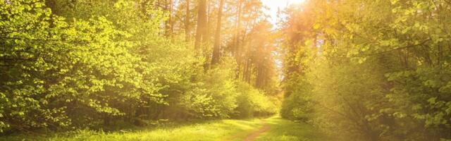 RHMZ - Vreme danas (16. mart) u Srbiji: Pretežno sunčano i toplo, ponegde kratkotrajna kiša, temperature do 19 stepeni