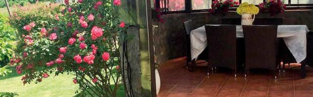 NAKON RAZVODA OSTALA BEZ IMOVINE! Kupala se u luksuzu, a onda je prodala sve i otišla u prirodu: Istina je, izdržavam muža!