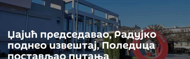 Џајић председавао, Радујко поднео извештај, Поледица постављао питања