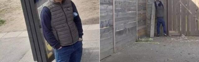 BEBICA POBEGAO IZ ZADRUGE, evo gde se sada nalazi (FOTO)