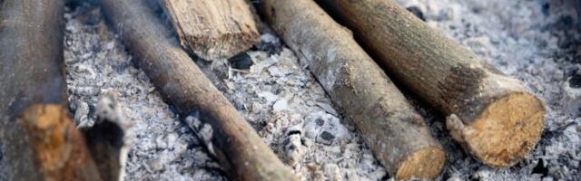 Pepeo od loženja nikad ne bacajte: Zlata je vredan, evo kako može da vam olakša život