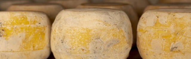 Rođaku ozloglašenog diktatora sa Balkana sudili zbog krađe sira