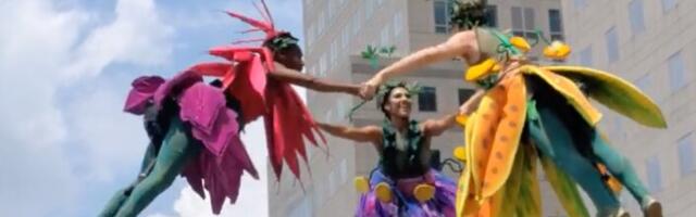 Muzički spektakl na otvorenom: Cvetanje kao inspiracija (VIDEO)