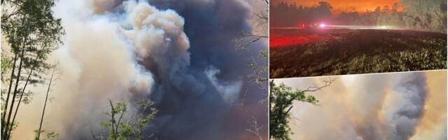 ŠUMSKI POŽARI PUSTOŠE SVE PRED SOBOM! Nebo u PLAMENU, automobili ugljenisani, uvedeno VANREDNO STANJE, sprovodi se HITNA evakuacija! (FOTO/VIDEO)