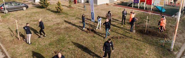 Zeleniji Niš: JYSK doneo novu oazu prirode u opštinu Medijana