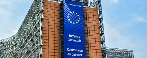 Džonson i fon der Lajen ukazali na razlike u stavovima