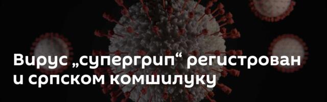 Вирус „супергрип“ регистрован и српском комшилуку