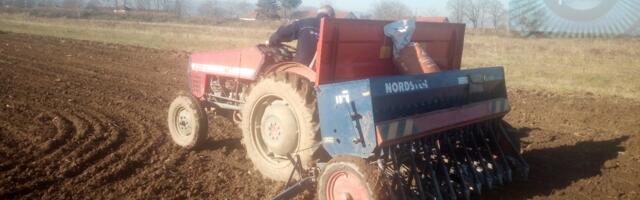 U jesenjoj setvi najviše zasejanih površina pod pšenicom