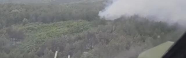 UGAŠEN POŽAR U DELIBLATSKOJ PEŠČARI: Gorela borova šuma na više od pet hektara (VIDEO)