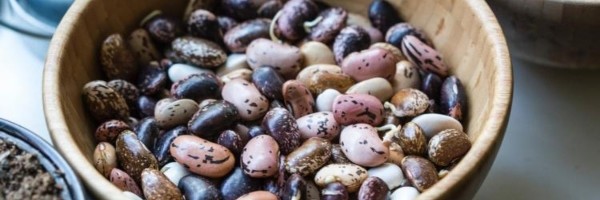 Hrana sa najboljim izvorom proteina za vegane