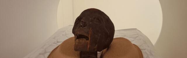 Mislili da je ljudska glava, pa ptica, u stvari je ljudsko stopalo: CT skener otkrio nove detalje o mumiji