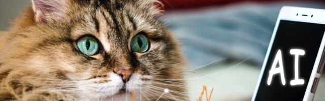 Vaš ljubimac iznenada se razboleo: Da li ćete konsultovati veštačku inteligenciju ili veterinara?