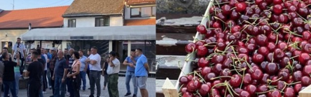 "Gročanski voćari dovedeni su na ivicu propasti"
