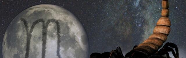 Pet stvari koje treba da znate o Škorpijama pre nego što izađete sa njima