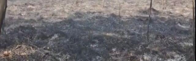 Veliki šumski požar zahvatio delove sela Koštunići (VIDEO)