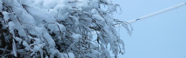 Oko 3.000 potrošača na severoistoku Slovenije već treći dan bez struje