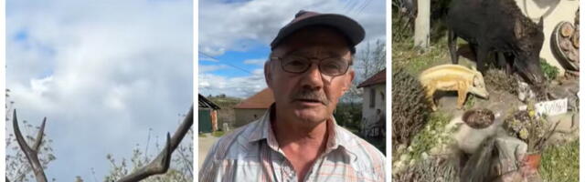 "Svi mi kažu da ovo nema nigde u Srbiji": Pogledajte šta je Miloš napravio od drveta u selu Čučuk Stane (Foto)