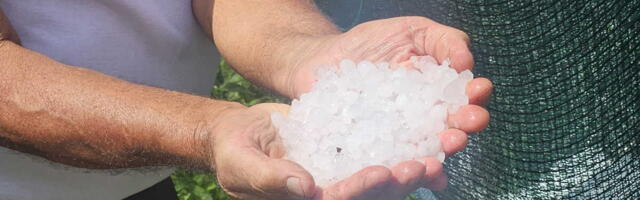 TUKAO KRUPAN LED, SVE UNIŠTENO ZA NEKOLIKO MINUTA! Katastrofalno nevreme sručilo se na ovaj sprski grad: Stradao plod, stradala i vozila, meštani očajni! (FOTO)