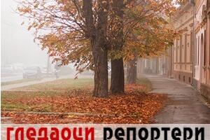 Гледаоци репортери (6. новембар 2022)