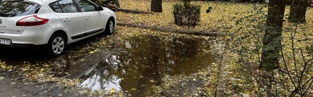 Poplavljen park i parking nakon pucanja cevi - Nišlije zbunjene oko nadležnosti 