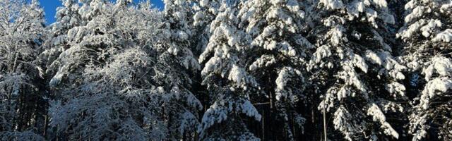 Od petka hladnije sa snegom