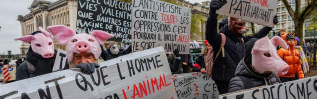 Тродневни штрајк у Белгији