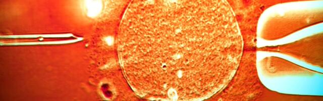 Skoro 200 dece začeto spermom davaoca sa genetskom mutacijom koja izaziva rak