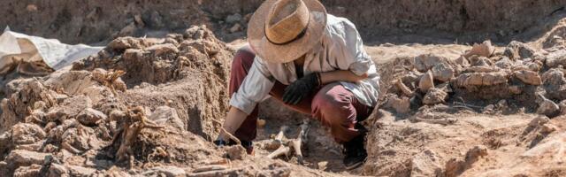 Grobnica žene iz doba Vikinga u Norveškoj nema presedana