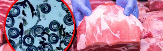 17 LJUDI JELO ZARAŽENO MESO, EVO U KAKVOM SU STANJU: Novi detalji zaprepašćujućeg slučaja širenja trihineloze u Pančevu! Veterinar nije imao sertifikate