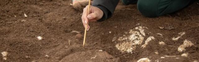 Otkriven privezak star oko 1.300 godina: Nećete verovati kome je pripadao