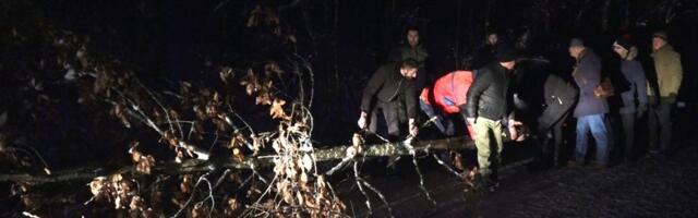 Predstavnici gradskog rukovodstva odsekli badnjak u Gornjoj Trepči