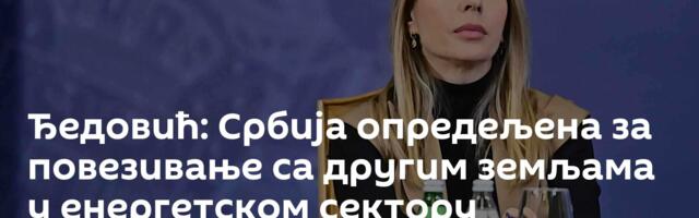 Ђедовић: Србија опредељена за повезивање са другим земљама у енергетском сектору