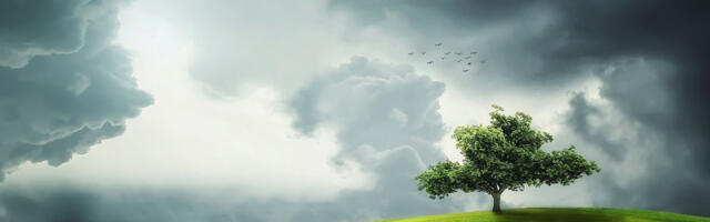 Nevreme nam donosi “krvavu kišu” i pesak iz Sahare: U delovima Srbije očekuju se olujni udari vetra