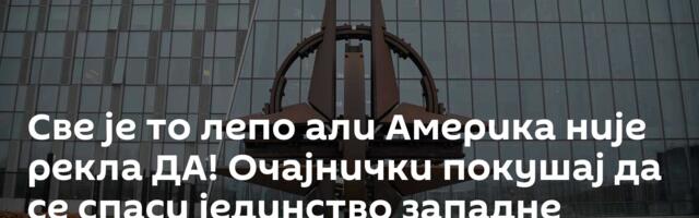 Све је то лепо али Америка није рекла ДА! Очајнички покушај да се спаси јединство западне алијансе