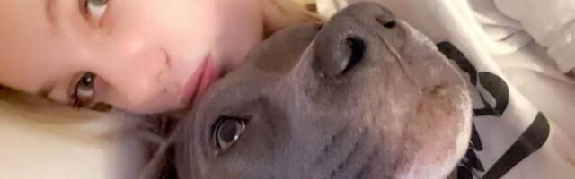 Ćerku (16) ostavila u kući sa troje drugara, sutra je pronašla mrtvu: "Koja majka želi da sahrani svoje dete?“