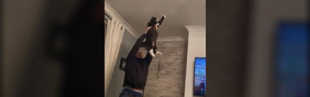 S mačkom na moljca: Momak se razleteo po sobi (VIDEO)