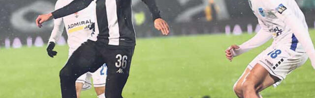 Живи песак или први мачићи