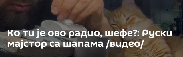 Ко ти је ово радио, шефе?: Руски мајстор са шапама /видео/